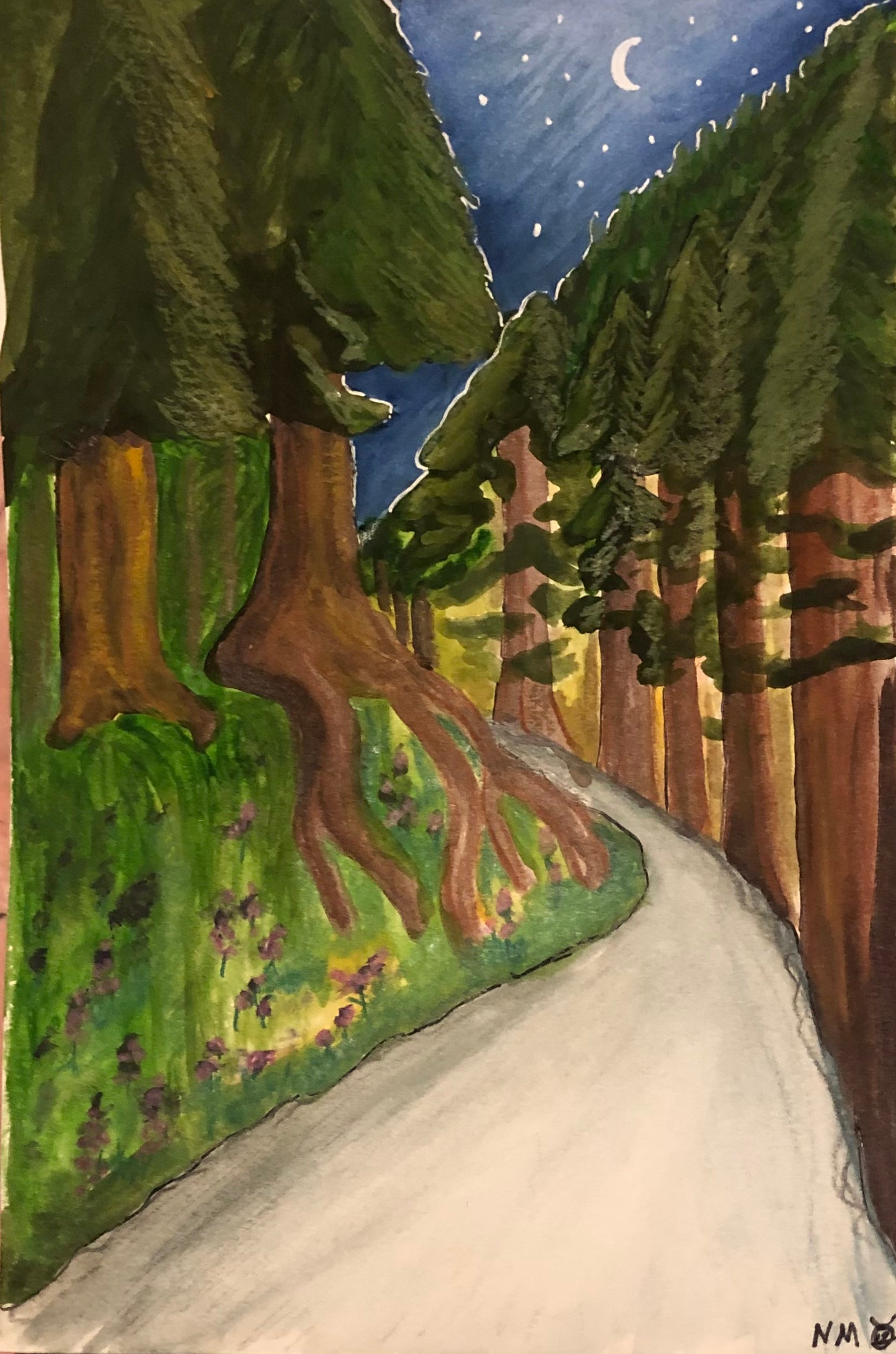 Twilight Forest Road